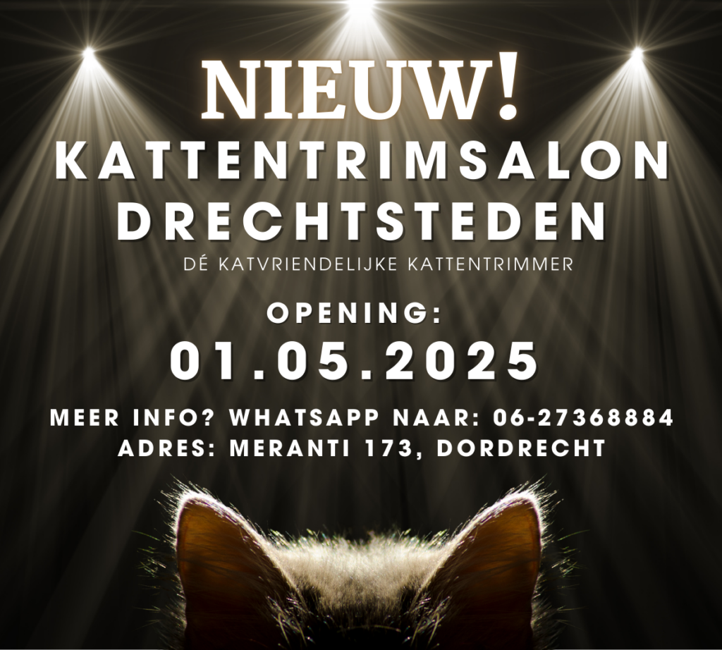 Afbeelding zonder ALT